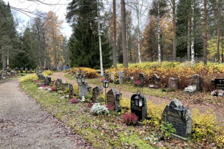 hiekkatie, jota reunustaa rivistö hautakiviä, syksyinen luonto